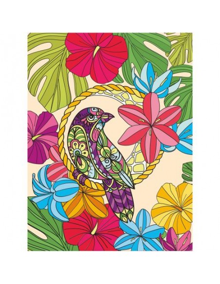 Paint by numebers de Color Experience "Tropic"