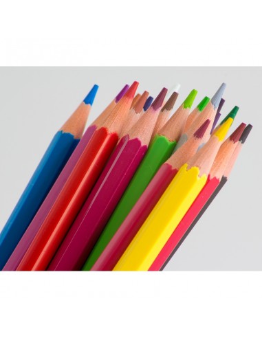 Estuche 24 lápices Alpino