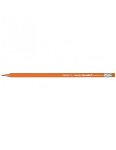 Estuche 24 lápices colores Alpino...